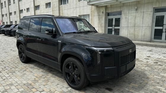 2024 Jishi Automobile Auto SUV/Mini/Smart/Gebruikte/Elektrische EV-auto met Ji Shi