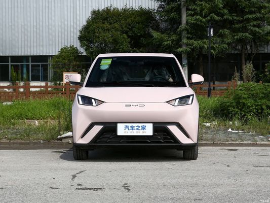 Elektrische auto Byd Seagull 2023 Fly voor online/lokale after-sales service