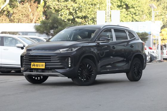 300t 2WD Exeed 2023 gesloten carrosserie type op 3 zitplaatsen voor Sal