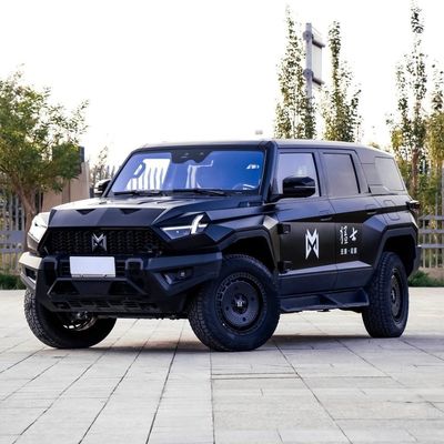 Aanpasbare M-Hero 917 Electric Car SUV Hybrid Extended Range EV met aanpassing