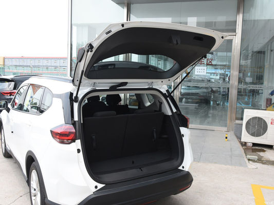 530t Mild Hybrid 530t Enjoyment Edition Hybride elektrische voertuigen voor 5 zitplaatsen