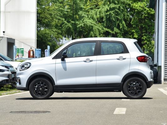 Microcar Car Electric Vehicle EV Leap T03 2023 310 Qingxiang met aangepast verzoek