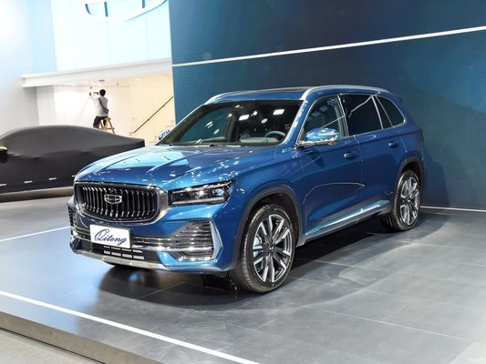 Benzine 2.0td Power Vierwielaandrijving SUV met aanpassing en op aanvraag