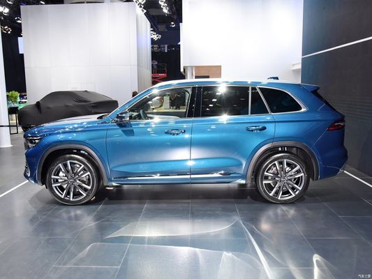 Benzine 2.0td Power Vierwielaandrijving SUV met aanpassing en op aanvraag