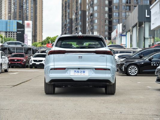 Buick E5 Zhenxiang langeafstands elektrisch voertuig EV voor online/lokale naverkoopservice