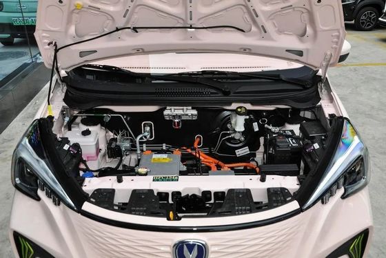 Elektrische auto met brandstof Type Electric Changan E-Star Benben Inr