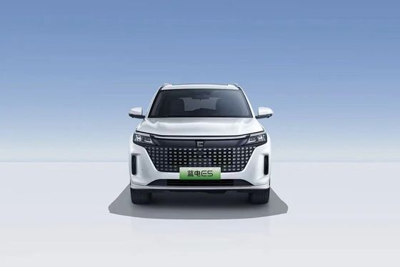 Landian E5 2024 Honor Edition 100km Automatic Luxury 5-seater met online service