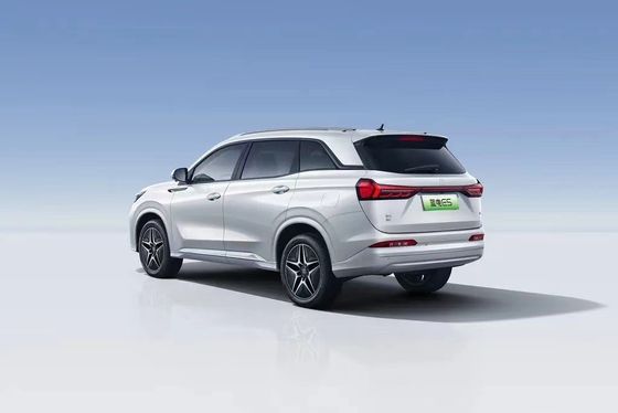 Landian E5 2024 Honor Edition 100km Automatic Luxury 5-seater met online service