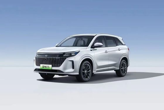 Landian E5 2024 Honor Edition 100km Automatic Luxury 5-seater met online service