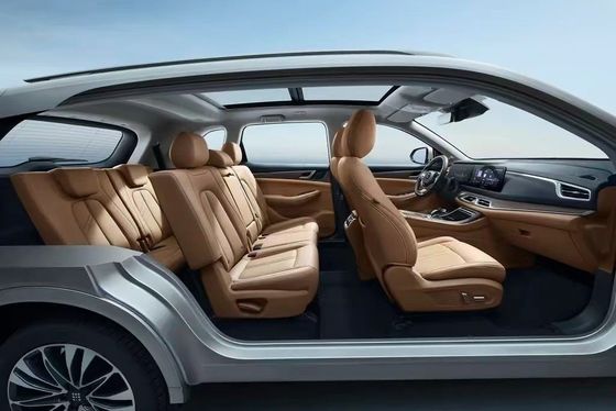 Landian E5 2024 Honor Edition 100km Automatic Luxury 5-seater met online service