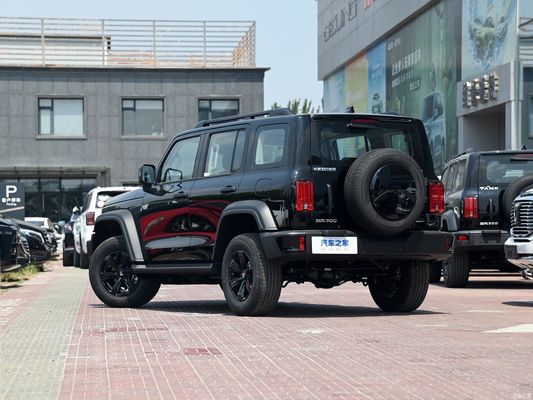 2024 Model Gwm Tank 300 2.0t Conqueror off-road brandstof auto op maat voor ruw terrein