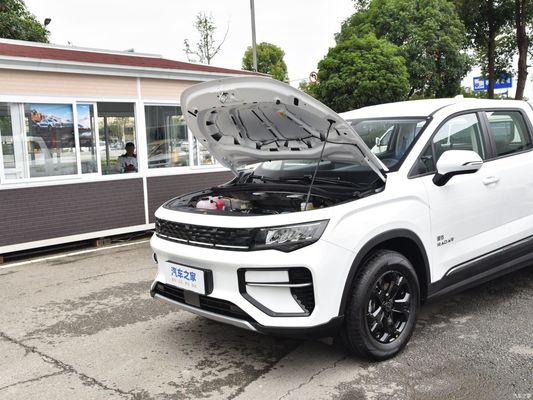 Elektrische voertuig pick-up radar Rd6 2023 410km Chuangye Online After-sales Service