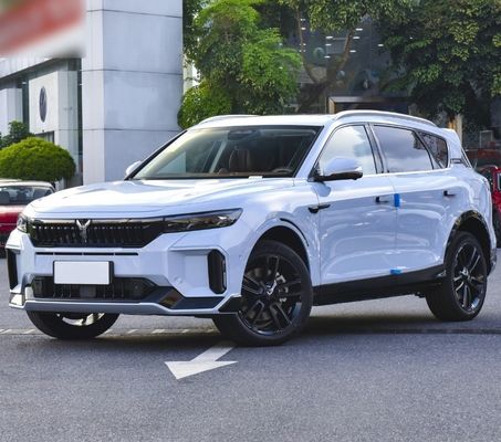 4905x1950x1645 zitplaatsen 5 Ultra-Long Range Energy Electric SUV Car in door Voyah Free 2024