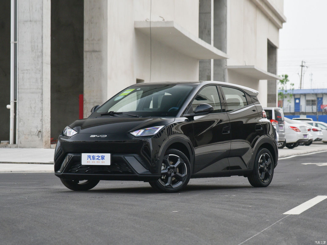 Elektrische auto Byd Seagull 2023 Fly voor online/lokale after-sales service