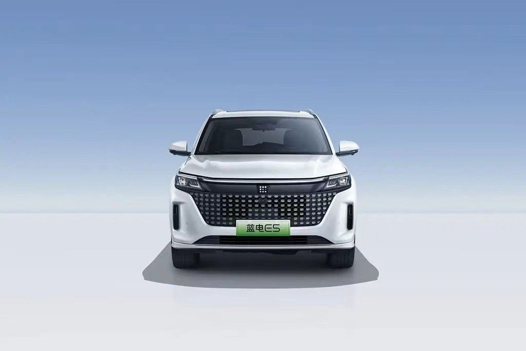 Landian E5 2024 Honor Edition 100km Automatic Luxury 5-seater met online service