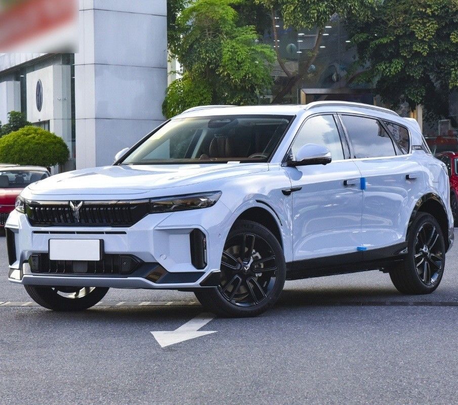 4905x1950x1645 zitplaatsen 5 Ultra-Long Range Energy Electric SUV Car in door Voyah Free 2024