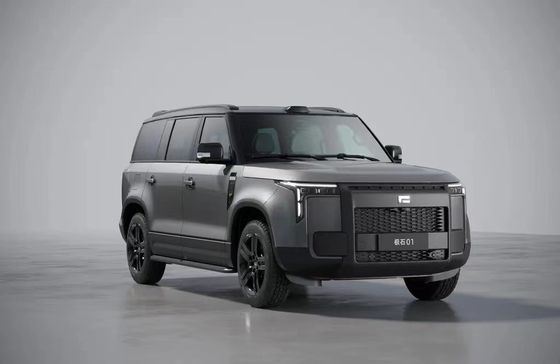 BAW Stone 01 6 zitplaatsen Comfort Edition met dubbele motor vierwielaandrijving